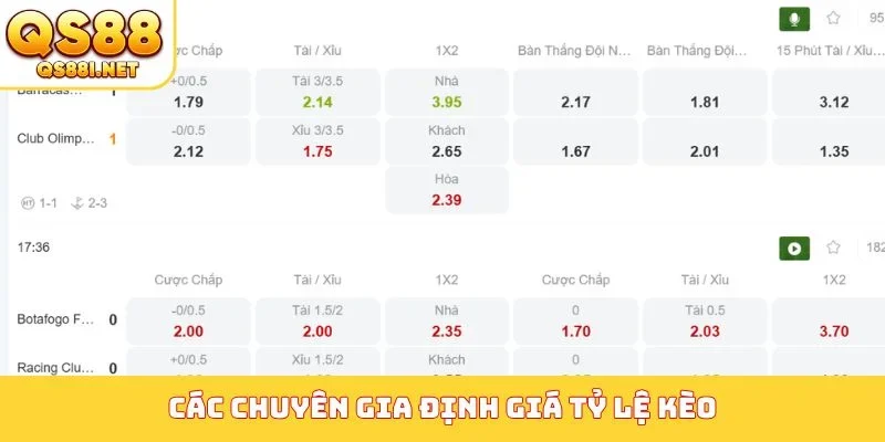 Nhà cái dựa vào gì để ra kèo - Các chuyên gia định giá tỷ lệ